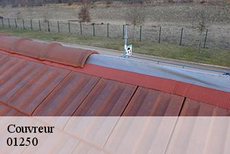 Couvreur  drom-01250 Renov Pro 01