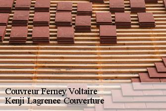 Couvreur ferney-voltaire-01210 Kenji Lagrenee Couverture