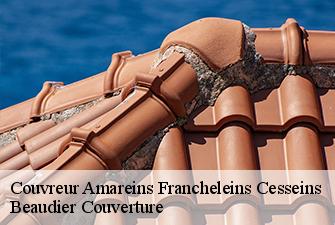Couvreur  amareins-francheleins-cesseins-01090 Beaudier Couverture 