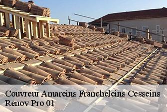 Couvreur  amareins-francheleins-cesseins-01090 Renov Pro 01