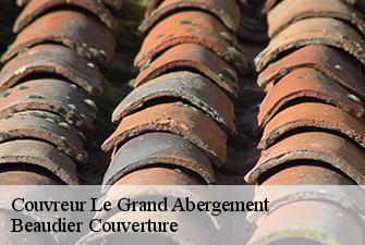 Couvreur  le-grand-abergement-01260 Beaudier Couverture 