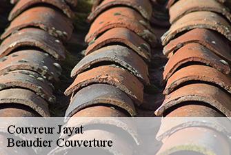 Couvreur  jayat-01340 Beaudier Couverture 