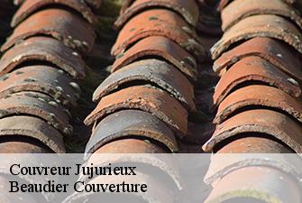 Couvreur  jujurieux-01640 Beaudier Couverture 