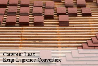 Couvreur leaz-01200 Kenji Lagrenee Couverture