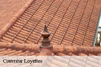 Couvreur  loyettes-01360 