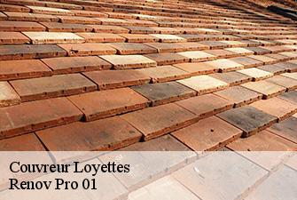 Couvreur  loyettes-01360 Renov Pro 01