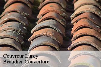 Couvreur  lurcy-01090 Beaudier Couverture 