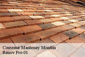 Couvreur  mantenay-montlin-01560 Renov Pro 01