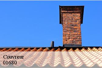 Couvreur  marchamp-01680 Renov Pro 01