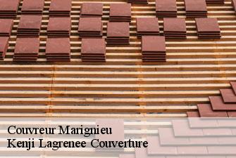 Couvreur marignieu-01300 Kenji Lagrenee Couverture