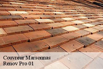 Couvreur  marsonnas-01340 Renov Pro 01