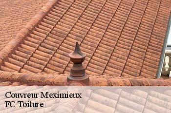 Couvreur  meximieux-01800 