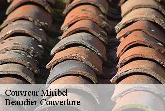Couvreur  miribel-01700 Beaudier Couverture 