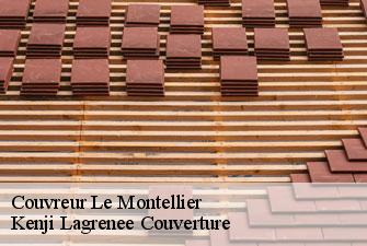 Couvreur le-montellier-01800 Kenji Lagrenee Couverture