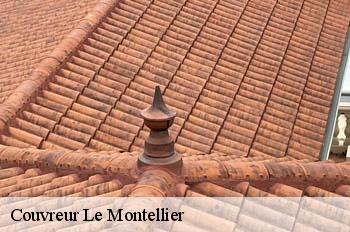 Couvreur  le-montellier-01800 