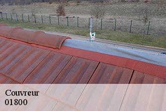 Couvreur  le-montellier-01800 Renov Pro 01