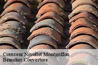 Couvreur  nivollet-montgriffon-01230 Beaudier Couverture 