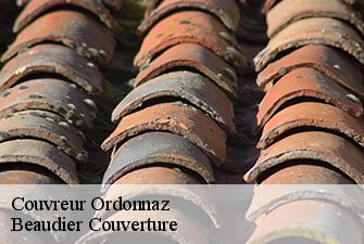 Couvreur  ordonnaz-01510 Beaudier Couverture 