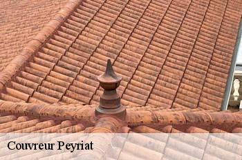 Couvreur  peyriat-01430 