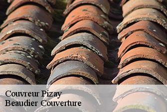 Couvreur  pizay-01120 Beaudier Couverture 