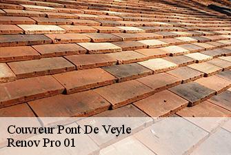 Couvreur  pont-de-veyle-01290 Renov Pro 01