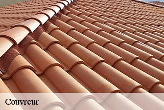 Couvreur  reyssouze-01190 Renov Pro 01