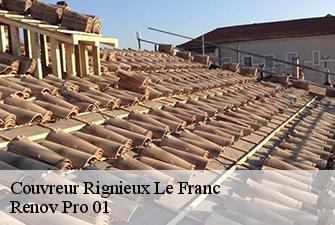 Couvreur  rignieux-le-franc-01800 Renov Pro 01