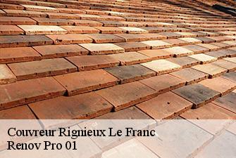 Couvreur  rignieux-le-franc-01800 Renov Pro 01