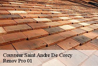 Couvreur  saint-andre-de-corcy-01390 Renov Pro 01