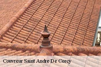 Couvreur  saint-andre-de-corcy-01390 