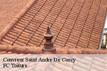 Couvreur  saint-andre-de-corcy-01390 