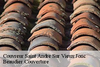 Couvreur  saint-andre-sur-vieux-jonc-01240 Beaudier Couverture 