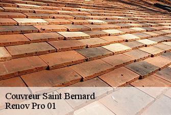 Couvreur  saint-bernard-01600 Renov Pro 01