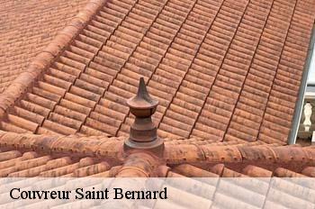 Couvreur  saint-bernard-01600 