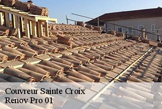 Couvreur  sainte-croix-01120 Renov Pro 01