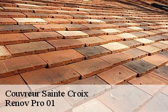 Couvreur  sainte-croix-01120 Renov Pro 01