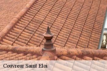 Couvreur  saint-eloi-01800 