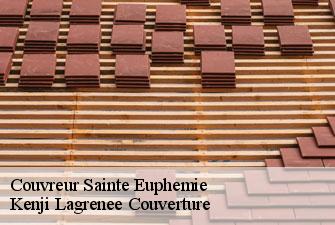 Couvreur sainte-euphemie-01600 Kenji Lagrenee Couverture