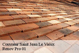 Couvreur  saint-jean-le-vieux-01640 Renov Pro 01