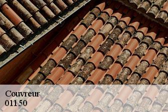 Couvreur  sainte-julie-01150 Kenji Lagrenee Couverture