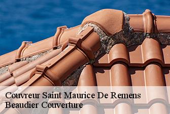 Couvreur  saint-maurice-de-remens-01500 Beaudier Couverture 