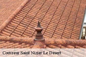 Couvreur  saint-nizier-le-desert-01320 