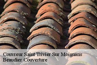 Couvreur  saint-trivier-sur-moignans-01990 Beaudier Couverture 