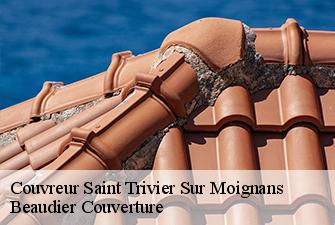 Couvreur  saint-trivier-sur-moignans-01990 Beaudier Couverture 