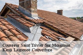 Couvreur saint-trivier-sur-moignans-01990 Kenji Lagrenee Couverture