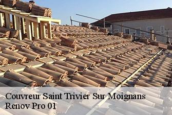 Couvreur  saint-trivier-sur-moignans-01990 Renov Pro 01