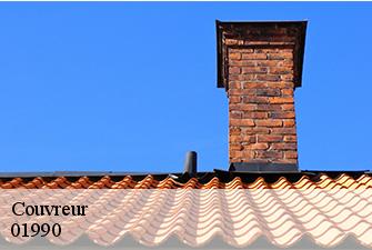 Couvreur  saint-trivier-sur-moignans-01990 Renov Pro 01