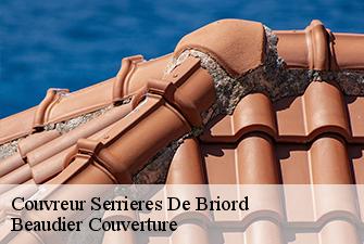 Couvreur  serrieres-de-briord-01470 Beaudier Couverture 