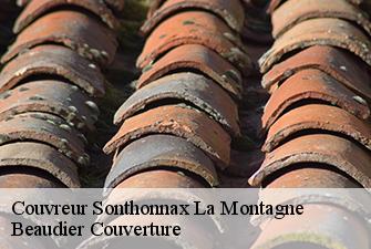 Couvreur  sonthonnax-la-montagne-01580 Beaudier Couverture 