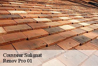 Couvreur  sulignat-01400 Renov Pro 01